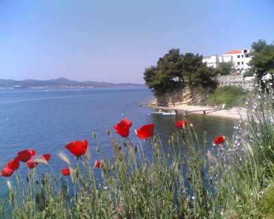 Apartamenty SEA STAR Zadar