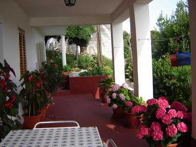 Apartamenty KOLOČEP - Mišković Donje Čelo