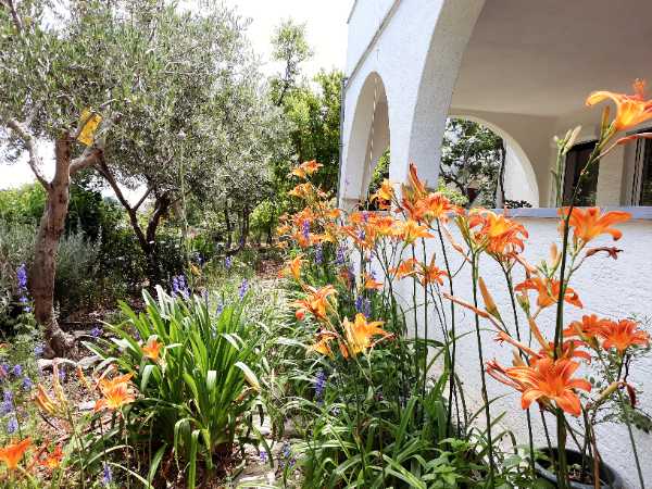 Apartamenty Milenka Mali Lošinj